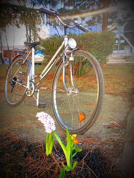 Loc de dormit 115 lei/ saptamana+ utilitati 150/luna